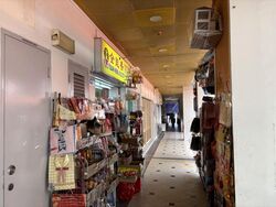 BLANGAH GARDEN (D4), Shop House #504944171